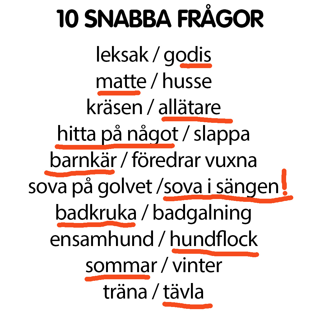 Snabba frågor Leijdi
