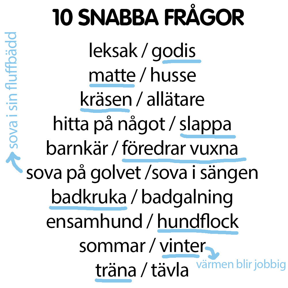 Snabba frågor Zibelle