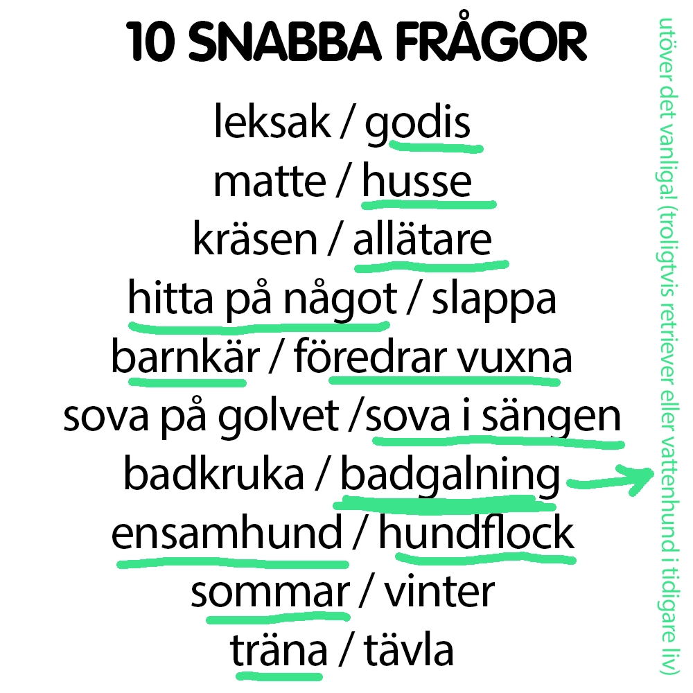 Snabba frågor till Hailey