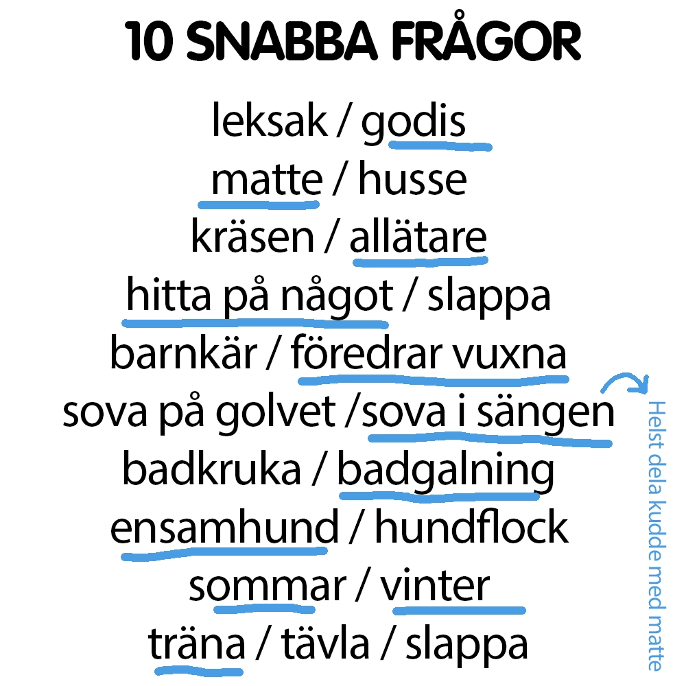 Snabba frågor Nilsson