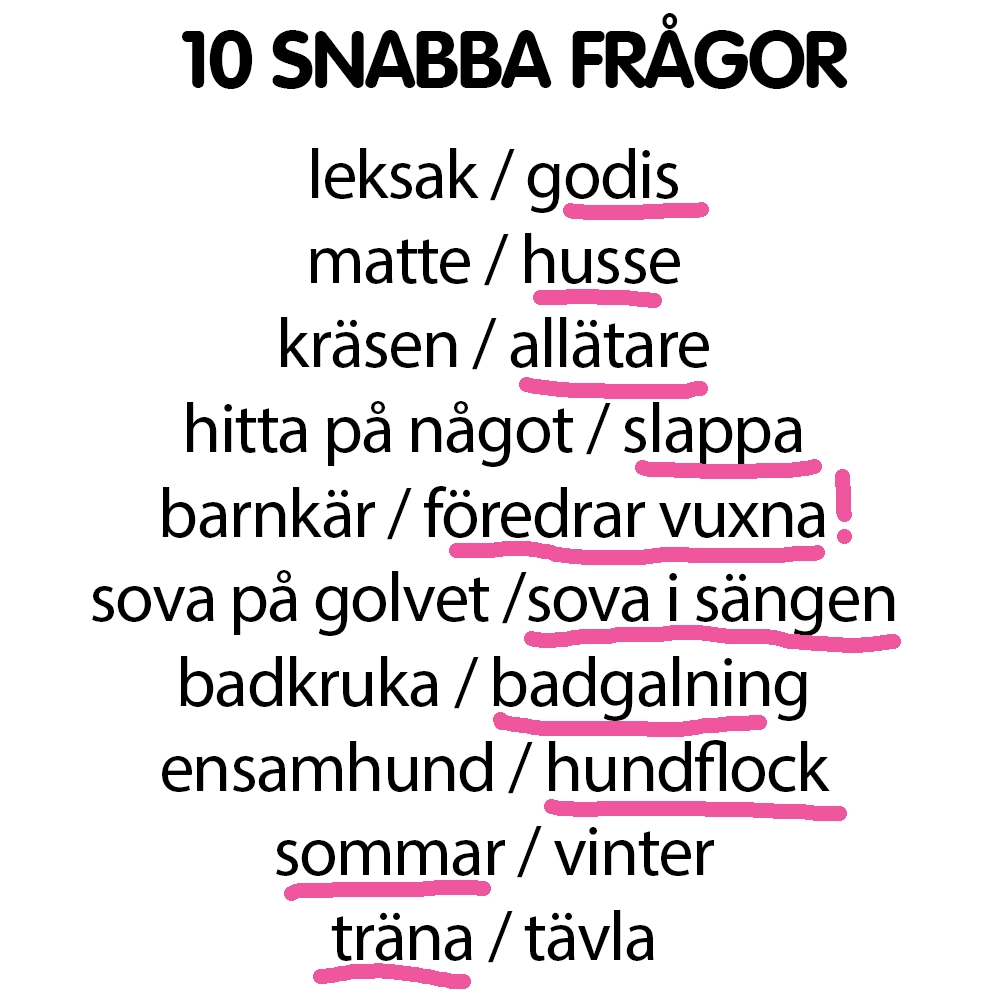 Snabba frågor till Musse