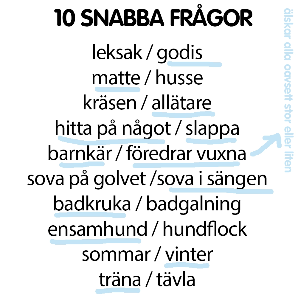Snabba frågor Totte