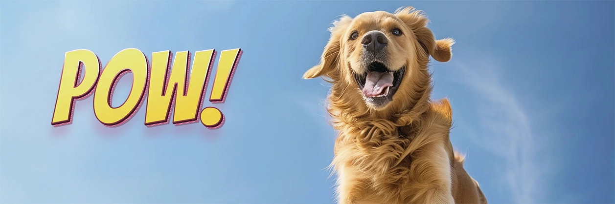 POW! Petfood