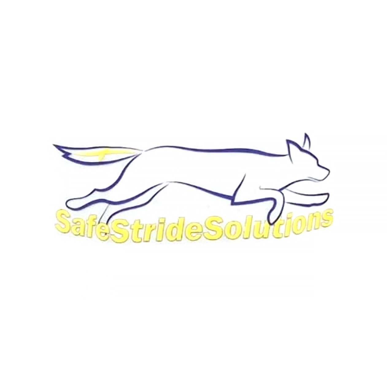SafeStrideSolution