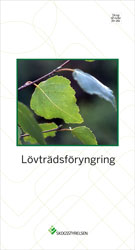 Lövträdsföryngring