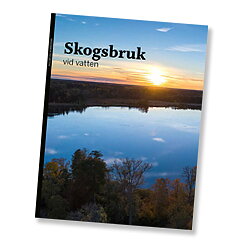 Skogsbruk vid vatten