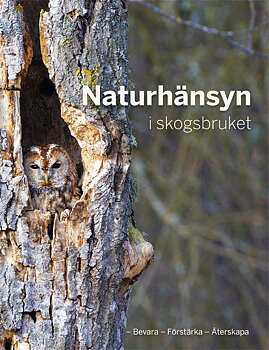 Naturhänsyn i skogsbruket