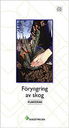Föryngring av skog - Plantering