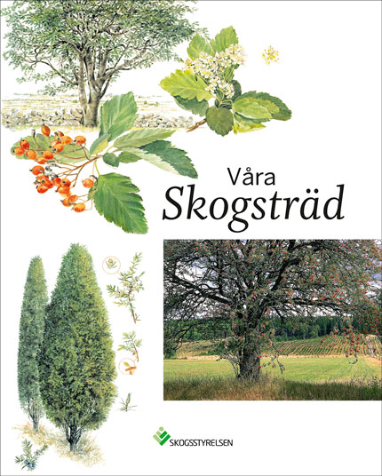 Våra Skogsträd, bok