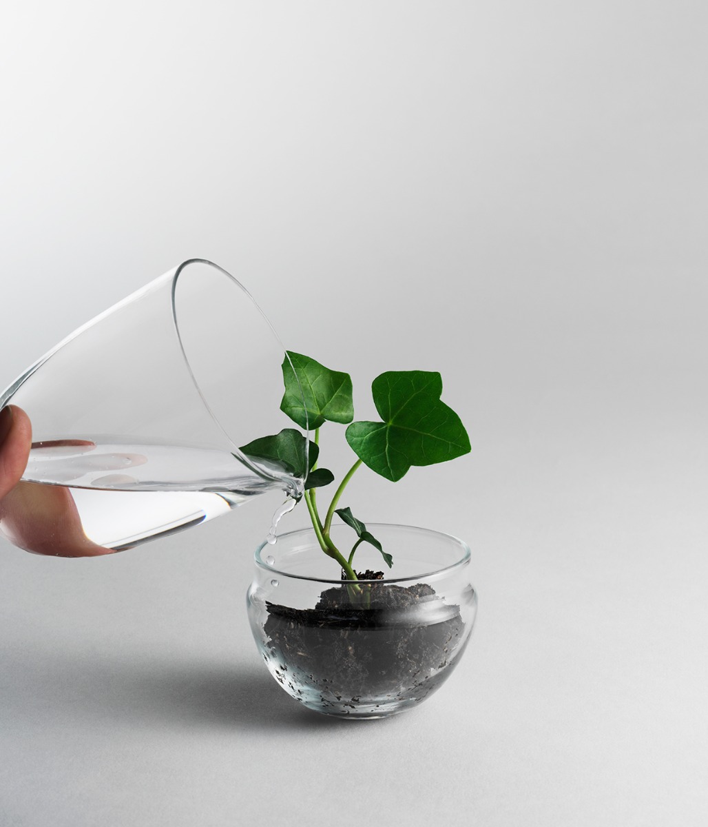 Design House Stockholm -Grow- glasägg - 11