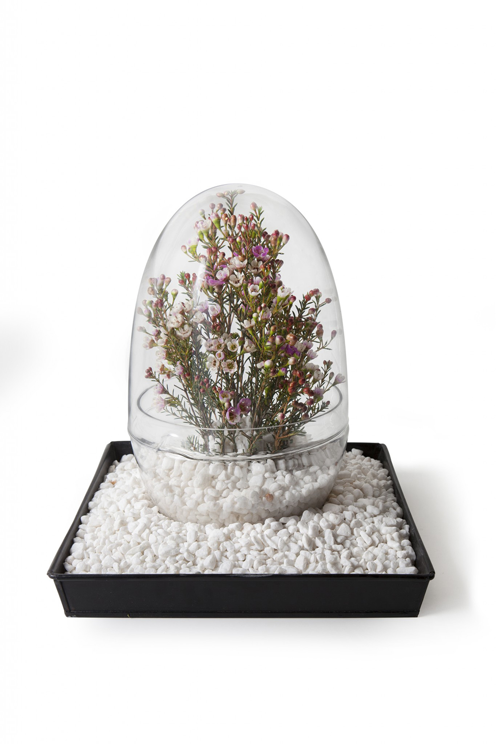 Design House Stockholm -Grow- glasägg - 8