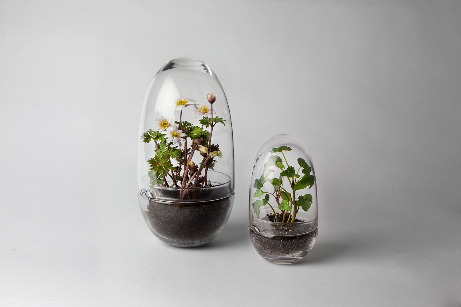 Design House Stockholm -Grow- glasägg - 6