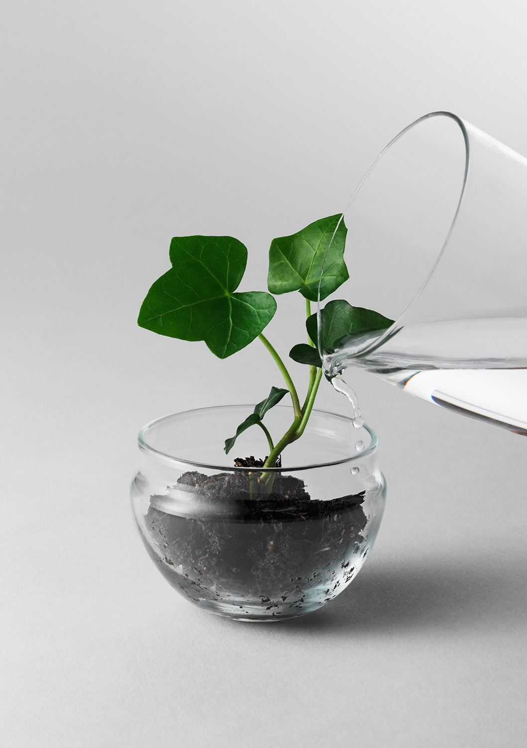 Design House Stockholm -Grow- glasägg - 4