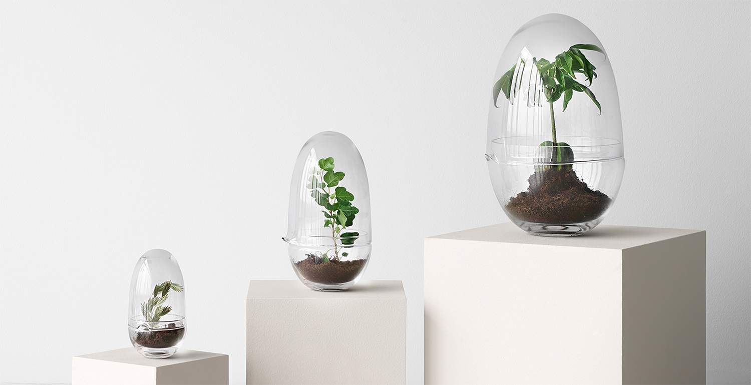 Design House Stockholm -Grow- glasägg - 9
