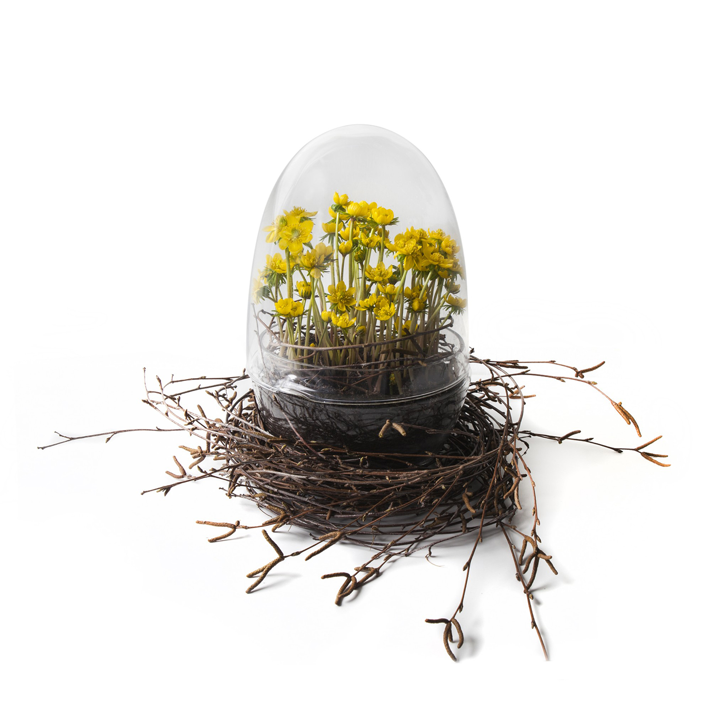 Design House Stockholm -Grow- glasägg
