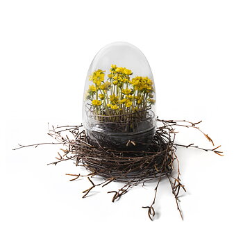 Design House Stockholm -Grow- glasägg
