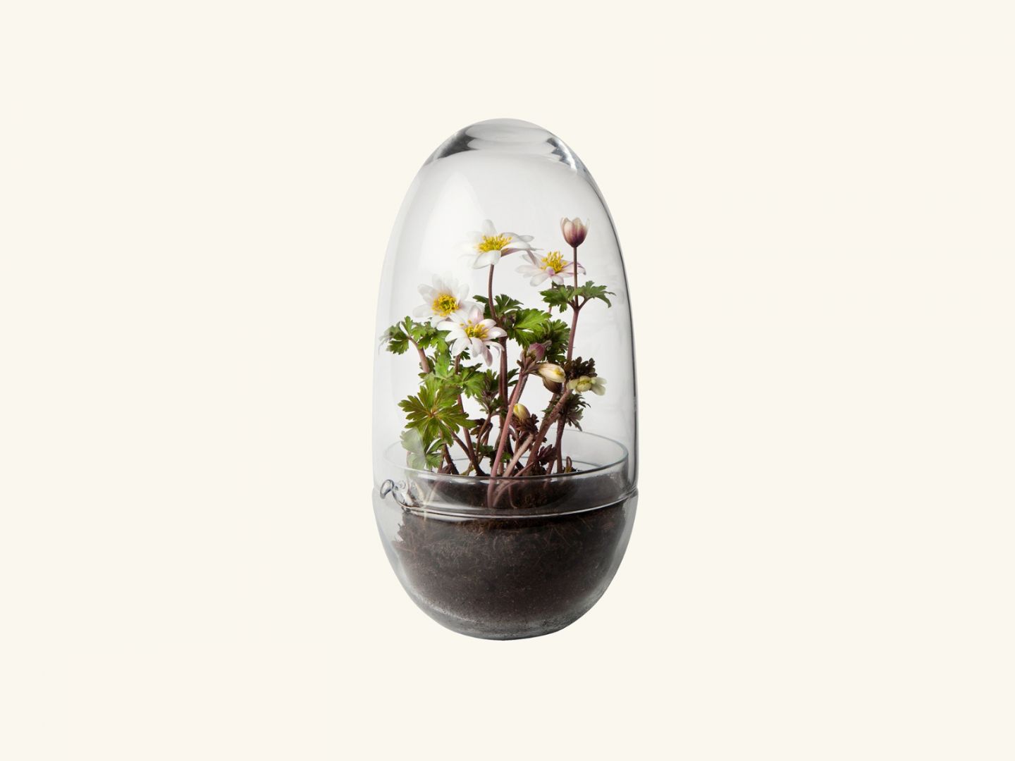 Design House Stockholm -Grow- glasägg - 14