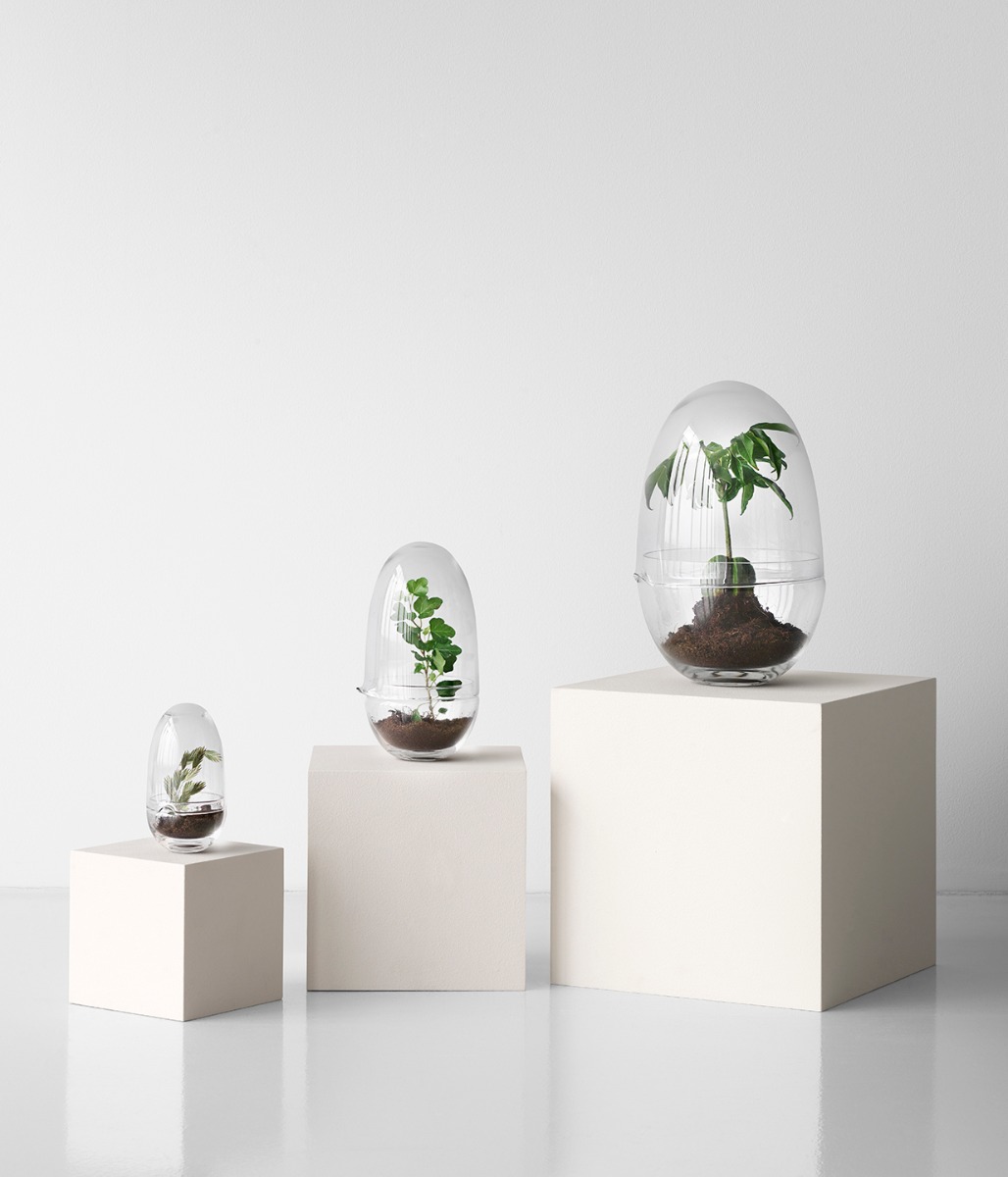 Design House Stockholm -Grow- glasägg - 12