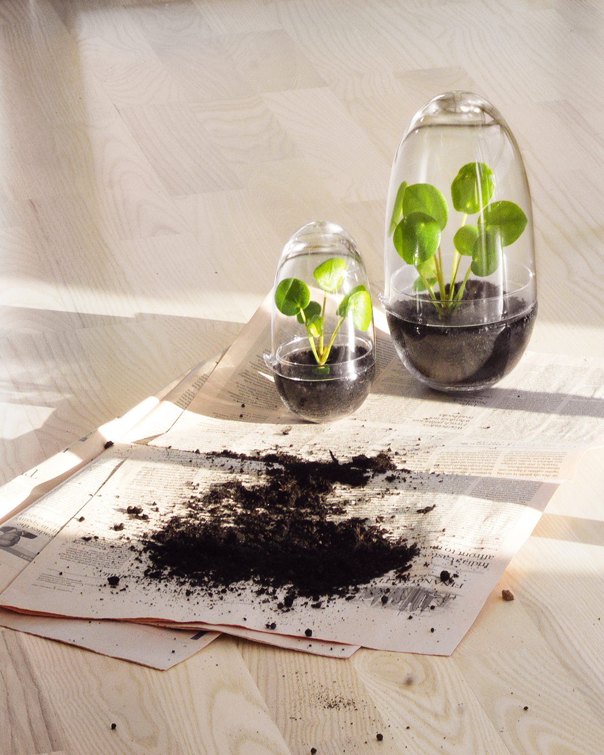 Design House Stockholm -Grow- glasägg - 5
