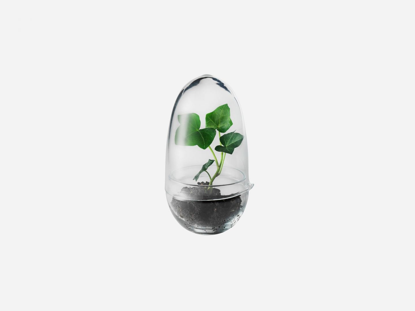 Design House Stockholm -Grow- glasägg - 15