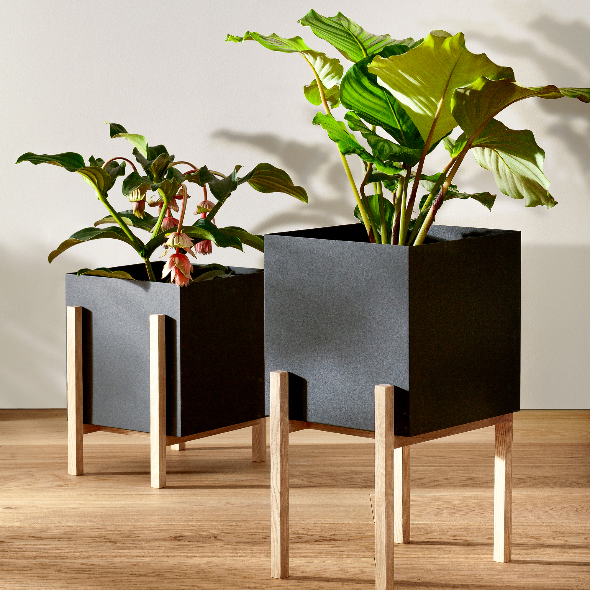 Design House Stockholm -Botanic pot ,2 storlekar