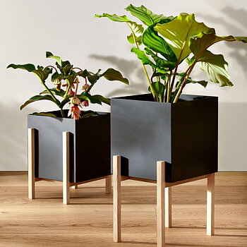 Design House Stockholm -Botanic pot ,2 storlekar