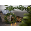 STAR TRADING Thuja 40 cm - 2