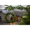 STAR TRADING Thuja 40 cm