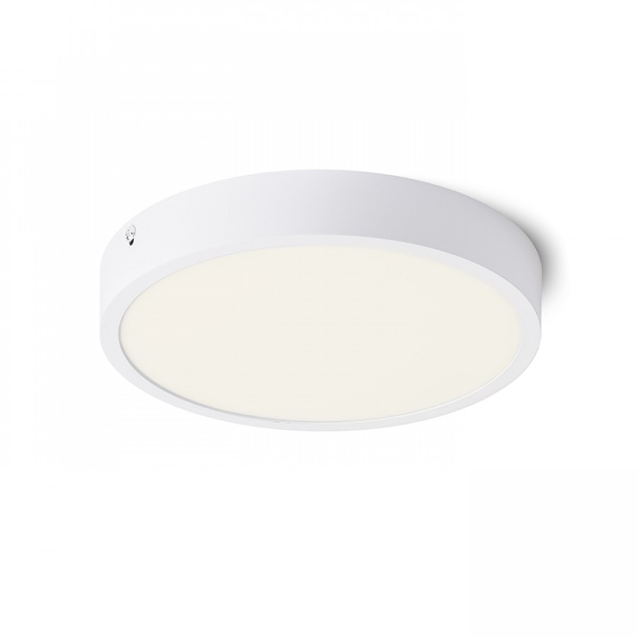 RENDL Hue R 22 Vit - 5