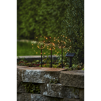 STAR TRADING Utomhusdekoration solcellsbelysning Firework 3x40 cm