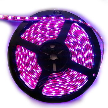 LED list IP67 14,4W/m, 5 m, Lila
