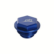 REAR BRAKE PUMP CAP