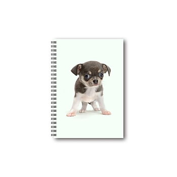 Notebook Cute Animals - Puppy