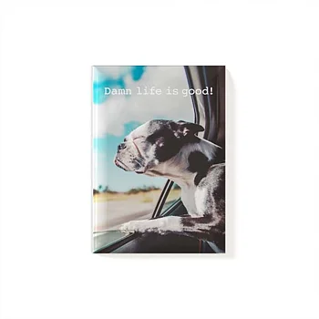 Magnet - Dog, Life is Good