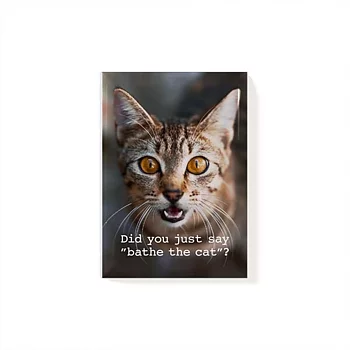Magnet - Katt, Bathe the cat