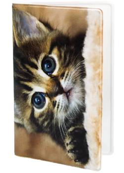 Cardholder handy - Kitten #1