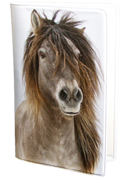 Cardholder handy - Horse Icelander