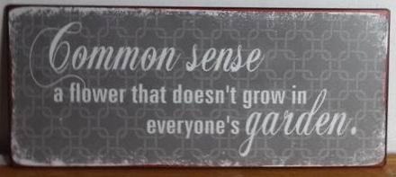 Emaljskylt / Common sense