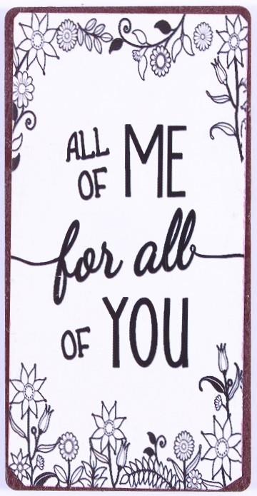 Kylskåpsmagnet / Emaljskylt / All of me for all of you