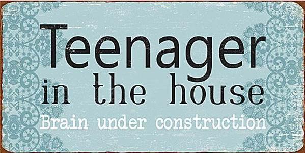 Kylskåpsmagnet / Emaljskylt /  Teenager in the house