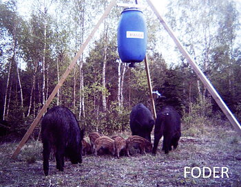 Multiåtel