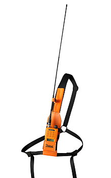 Zodiac Radiosele