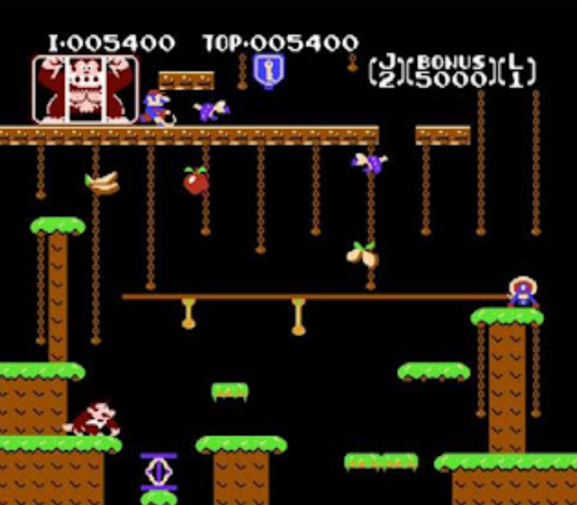 Donkey Kong JR - NES - 3