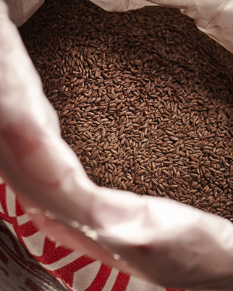 Chocolate Rye Malt (Weyermann®), whole, 25 kg - 2