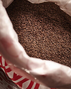 Chocolate Rye Malt (Weyermann®), whole, 25 kg