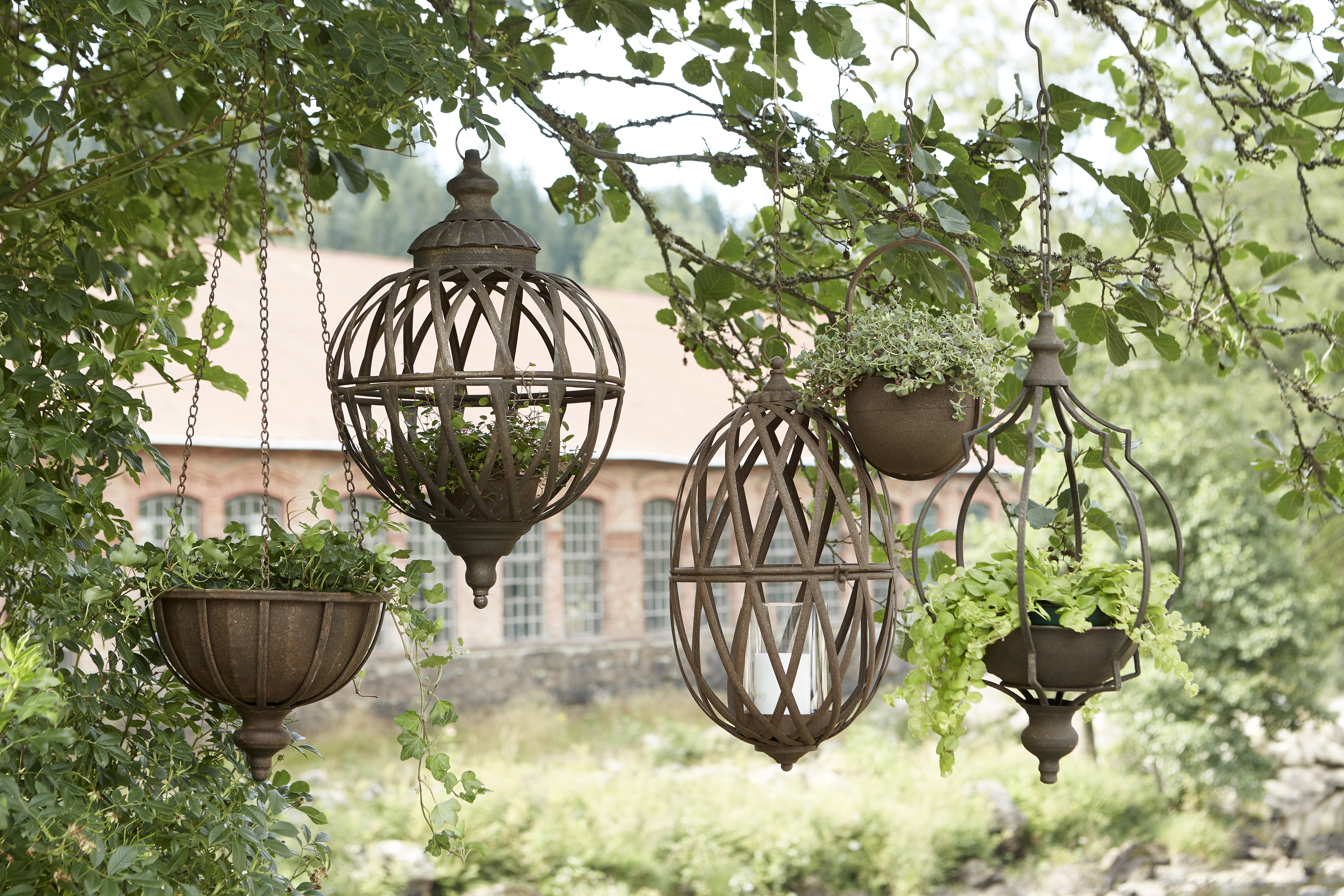 Hängampel - Ampel - Kruka - Lykta 2-pack Rost - 6