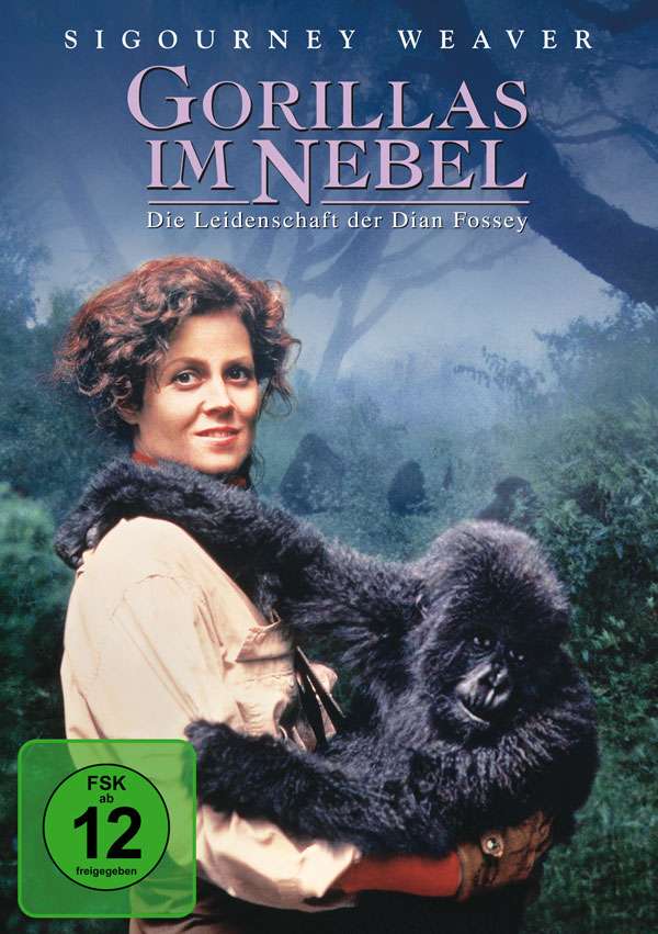 De Dimhöljda Bergens Gorillor