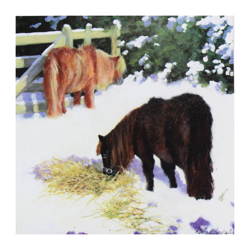 Julkort Grays 1922 Hästmotiv Snow Ponies 10-Pack - 4