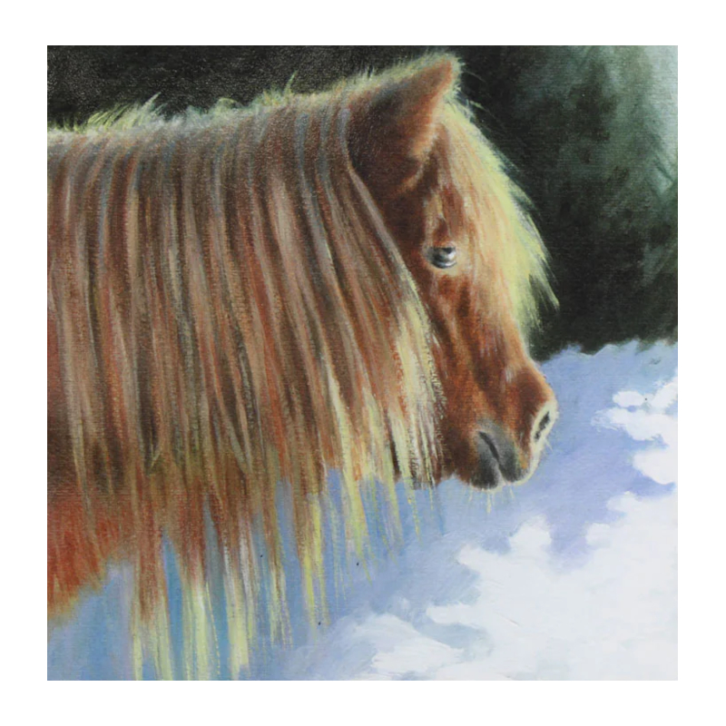 Julkort Grays 1922 Hästmotiv Snow Ponies 10-Pack - 3