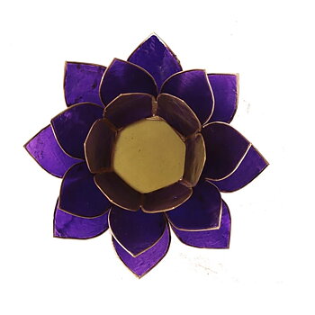 Lotuslyktan i snäckskal - Guldmetal  -Lila - Chakra 7